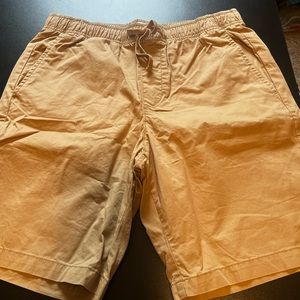 Gap Men’s Medium Shorts